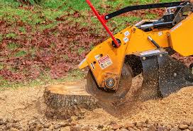 Leaf Removal in Montgomery City, MO